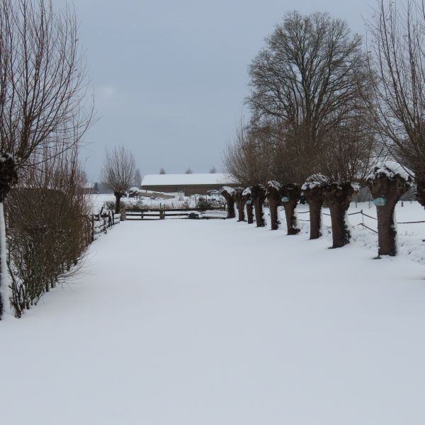 Camping DenTiel in de Sneeuw 2
