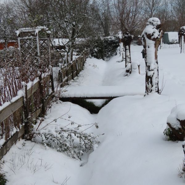 Camping DenTiel in de Sneeuw 3