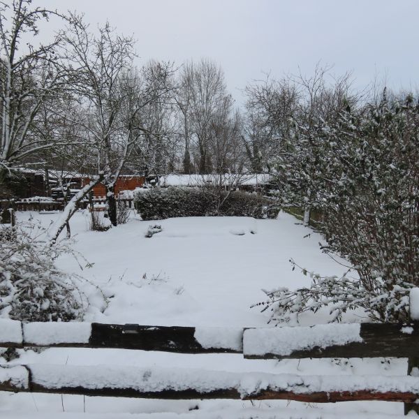 Camping DenTiel in de Sneeuw 4